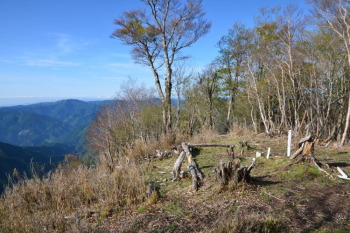 権田山の山頂（標高1605.5m）