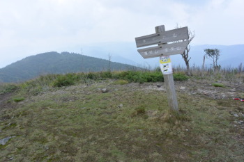 ホッケ山（標高1050m）
