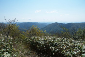 砥石郷山の山頂付近の眺望