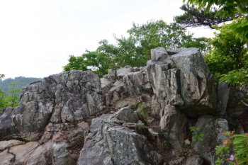太郎坊の山頂（標高350m）