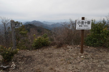 小金ヶ嶽の山頂（標高725m）