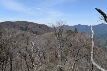 笠松山の眺めです。その１