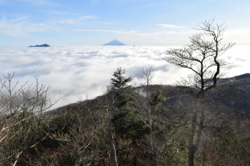 笠取山の眺め