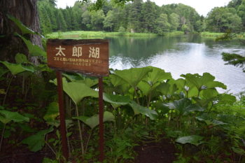 太郎湖