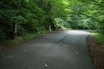 菅原林道の終点