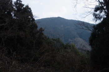 林道から見えた備前坊山