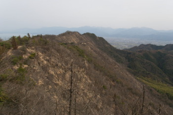 山火事跡の笠松山から見た世田山