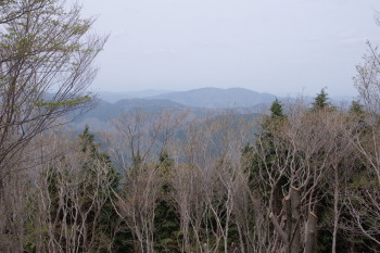 春日山からの眺望です。その２