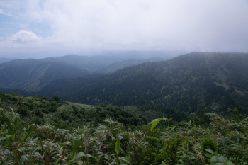 三原山の眺望です。その１