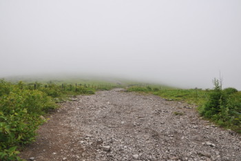 霧の道