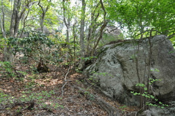 巨石の多い岩場