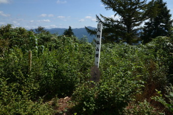人形仙の山頂（標高1004.0m）