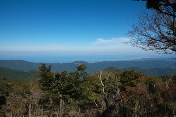 大森山の眺望