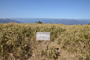 奥神賀山の山頂（標高1442.9m）