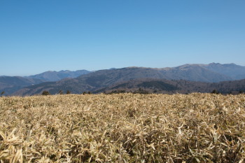 奥神賀山の眺望