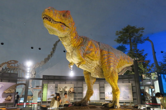 恐竜博物館03