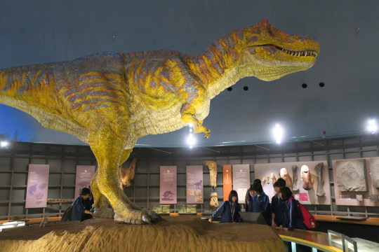 恐竜博物館04