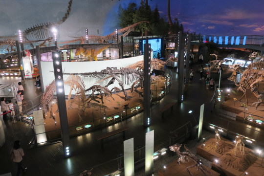 恐竜博物館07